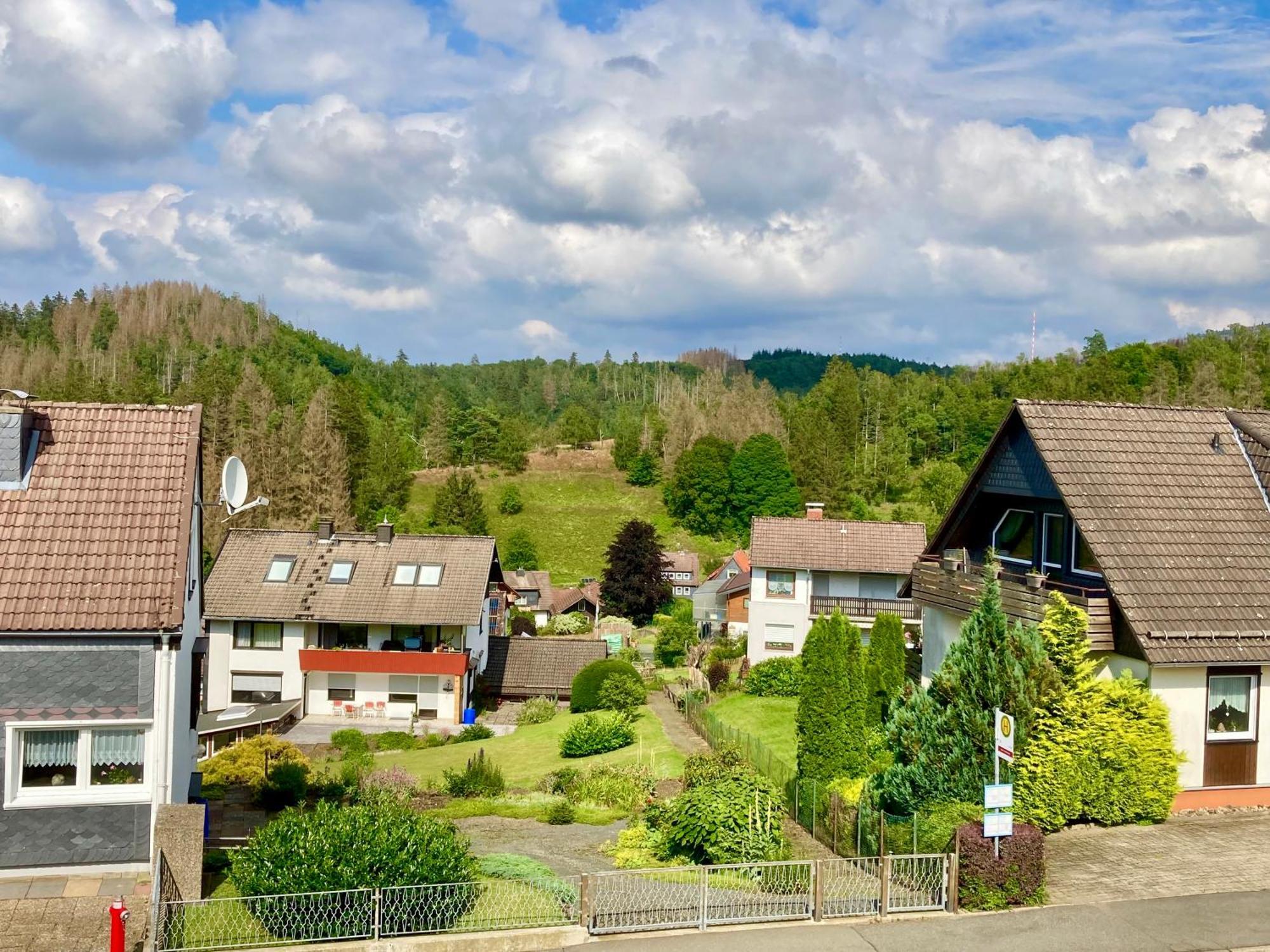 Haus Wilma Apartment Altenau  Bagian luar foto